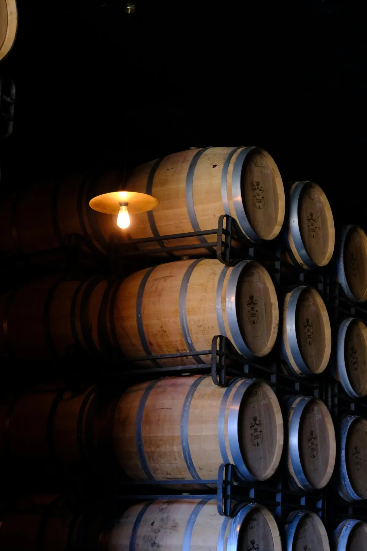 Bodega de vinos de Cueva Séptimo